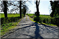 Lane to farm, Seskinore