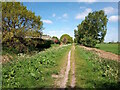 Footpath behind Grosvenor Avenue, Swanpool, Lincoln