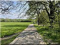 Path in Heath Park