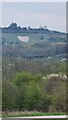 Bulford Kiwi from viewing point