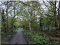 Path in Woodfield Park, Kingsbury