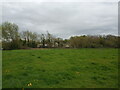 Field off Locking Head Drove looking towards Locking Head Farm