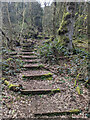 Steps at Goblin Combe