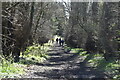 Footpath to Herb Garden