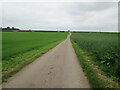 TA0319 : Access  road  through  fields  to  farm  at  Kingsforth by Martin Dawes