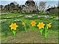 Artificial flowers in Bodnant Garden