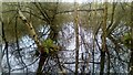 Flooded lake in Warren Gorge