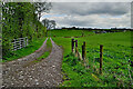 Laneway along a field, Drum