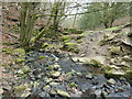 Public footpath crossing Catlow Gill