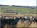 NY9251 : Moorland and farmland around Low Hope by Mike Quinn