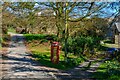 Twitchen : Country Lane