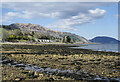 Stony beach with trickling stream