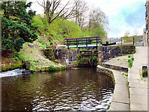 SD9324 : Rochdale Canal Lock#18, Shop Lock by David Dixon