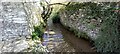 Mill race, Castleton