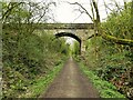 Viaduct across Auckland Walk