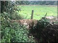 Stone Stile, North Cerney