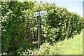 Footpath crossing Stone Cross Rd