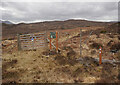NH3115 : Allt Ruadh planting area, Dundreggan by Craig Wallace