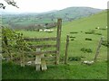 Stile above sheep pasture near Llanarmon-Mynydd-Mawr