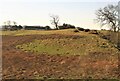 Rough grazing at Greenloaning Farm