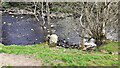 Stone on north bank of River Irthing west of Lanerton