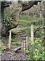 Stile and footpath near Thrustle Mill