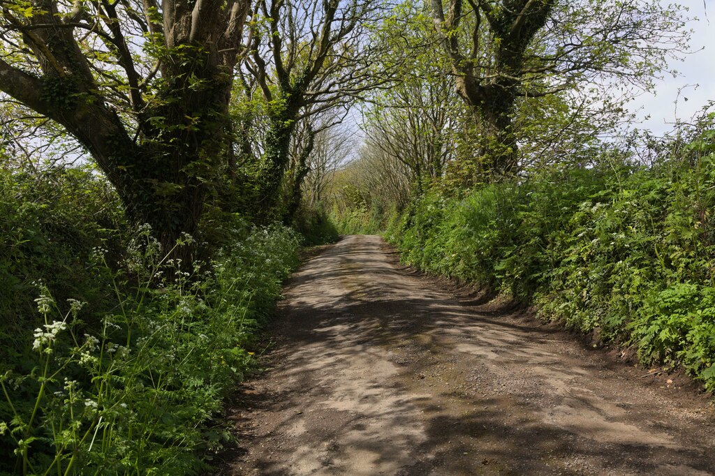 Public bridleway to Lanyon 1 © Elizabeth Scott :: Geograph Britain and ...