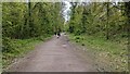 SJ6703 : Severn Valley Way cycle track / path by TCExplorer
