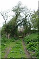 Footpath Under The Railway