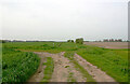 Junction of paths north of Great Wakering