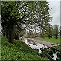 Pond, Handsworth Park