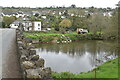 River Torridge at Taddiport Bridge