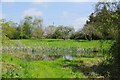 Pond By Footpath One