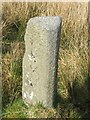 Old milestone