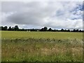 Farmland east of Contin