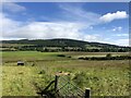 Farmland near Marybank