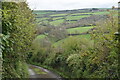 Steep lane descending towards Newmills