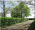 Cripple Gate Lane, Hoghton