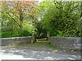 Gateway to Stanley Coppice