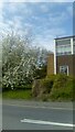 Cherry blossom and telephone exchange