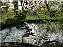 SE2837 : Another weir in Meanwood Park by Stephen Craven