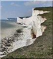 TV5496 : Chalk cliffs at the Seven Sisters by Mat Fascione