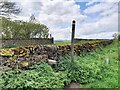 Footpath crossing the lane to Knowsley Hill at Edgetop