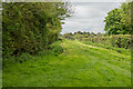 Bridleway near Cuckoo Tye