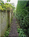 Narrow footpath, Acton