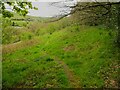SE0617 : Footpath 106/5 crossing grassland, Barkisland by Humphrey Bolton