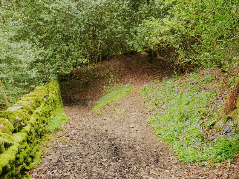 Firth House Lane At A Footpath Junction © Humphrey Bolton