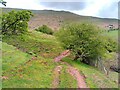 Path over stream below Mynydd Bychan