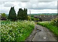 Track leading to Field Farm near Egerton