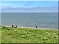 The Solway Firth at Silloth